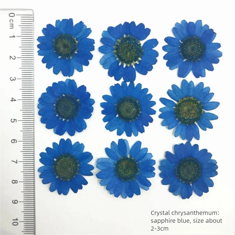 100 Piezas de Pétalos de Crisa - Dried Flower Bookmark reseña y precio