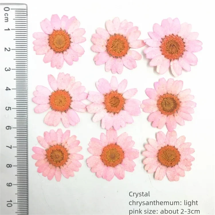 100 Piezas de Pétalos de Crisa - Dried Flower Bookmark reseña y precio