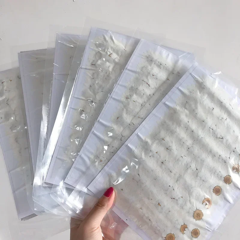 60X Flores de Crisantemo Palud - Dried Flower Bookmark reseña y precio